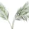 30" Palm Bush by Ashland®